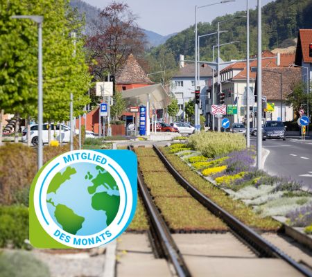 Zugschienen entlang der Kaprunger-Generator-Straße in Weiz, Wildblumen am Bahntrassenrand, roter Turm im Hintergrund