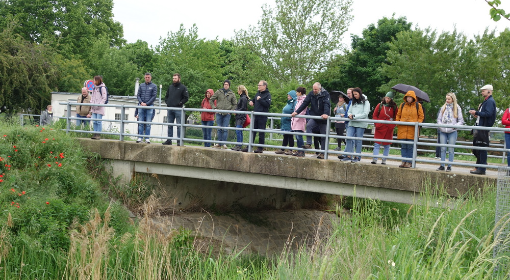 Eine Gruppe an Menschen steht auf einer Brücke und blickt in den den Bach.