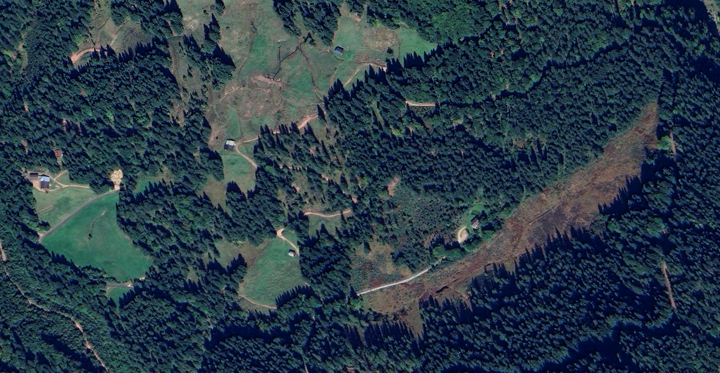 luftaufnahme von einem Wald